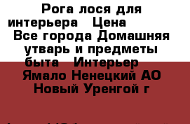 Рога лося для интерьера › Цена ­ 3 300 - Все города Домашняя утварь и предметы быта » Интерьер   . Ямало-Ненецкий АО,Новый Уренгой г.